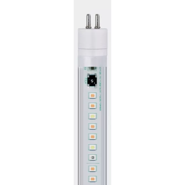 Arcadia Led-Tube T5 Freshwater Pro - Eau Douce Aquarium Éclairage Lumière 3