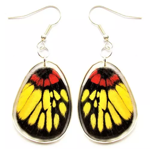 Delias ninus hindwing red yellow butterfly wing earrings