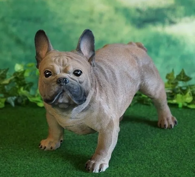 Tierfigur Hund französische Bulldogge Lebensecht Dekofigur Skulptur Garten