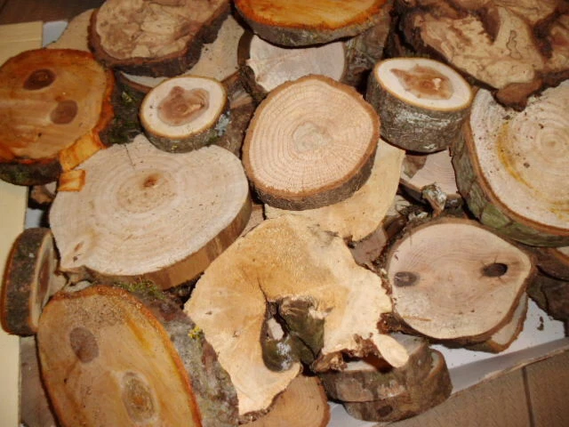Holzscheiben, Dekoholz, NATUR,1400 g ,Baumscheiben gemischt, Floristik,Basteln,