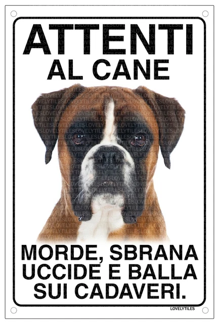 Targa Metallica Per Cani 'Attenti Al Cane', Formato 15x20 Cm, Personalizzabile Con Foto, Per Esterni