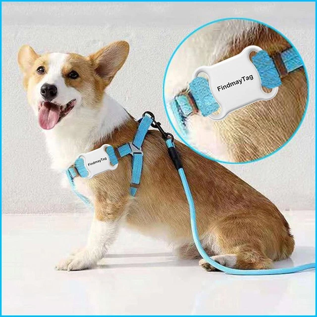 Pet Dog Collar GPS Locator Smart Waterproof Tracker Anti Lost Bluetooth Locator