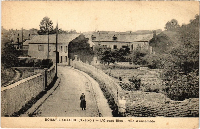 CPA Boissy l'Aillerie L'Oiseau Bleu, Vue d'ensemble FRANCE (1308956)