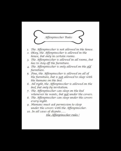 Affenpinscher "Rules" - CUSTOM MATTED - Dog Art Print : GIFT