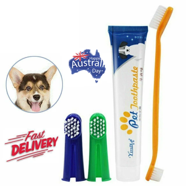 Pet Dog Cat Cleaning Toothpaste+ Toothbrush+ Back Up Brush Set Beef Flavour ZO