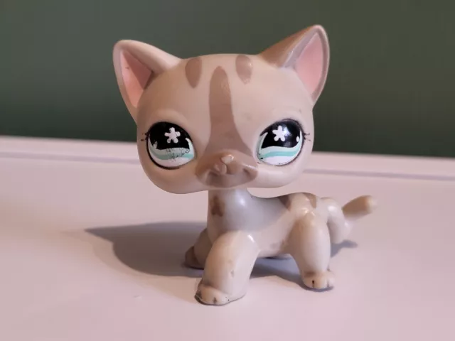 Lps #468 Littlest Petshop Original Authentic Chat Europeen European Cat Hasbro