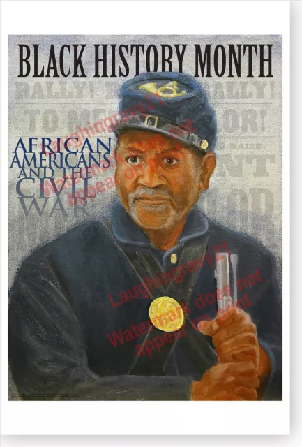 Black History Month African Americans And The Civil War DOD Poster