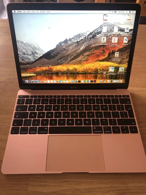 MacBook 12インチ 2017 8GB 256GB ローズゴールド Apple Macbook 12