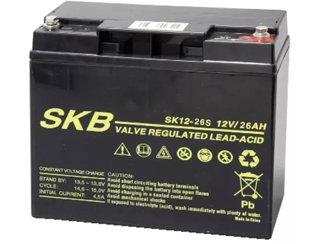 Batteria Al Piombo 12V 26Ah Ricaricabile Skb 38.6424.07