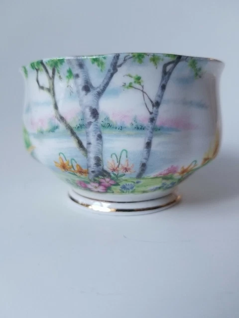 Royal Albert Silver Birch Fine Bone China Open Sugar Bowl 2" England Replacement