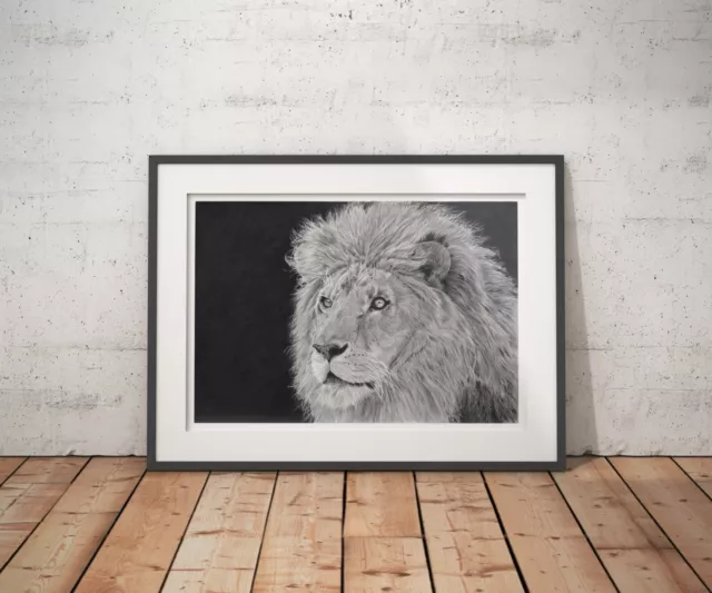 AFRICAN LION ART PRINT 6x8" Original Hand drawn. Giclee professional wall art