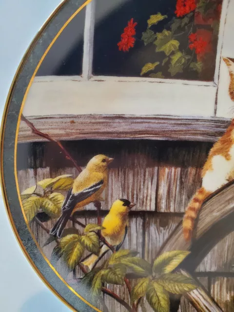 NOSY NEIGHBORS Cat Kitten Plate SURPRISE VISIT Bird Gold Finches By Persis Weirs 3