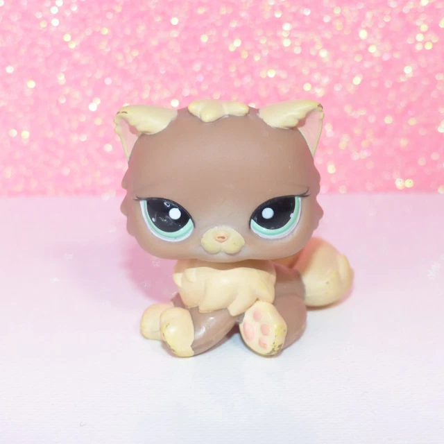 authentic LITTLEST LPS 1063 PETSHOP chat persan persian cat kitty hasbro pet