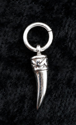Pendentif Dent Griffe De Tigre En Argent 925 1 4g Bijou Mystique W14 Eur 19 99 Picclick Fr