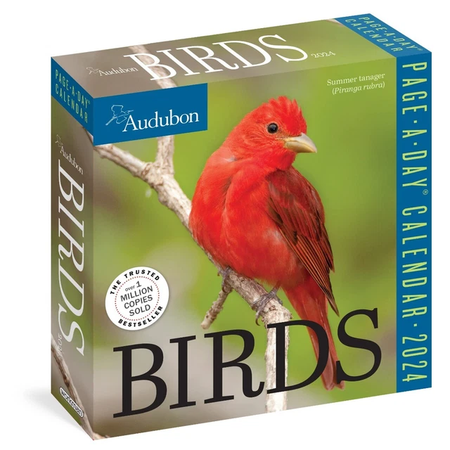 AUDUBON BIRDS PAGEADAY Calendar 2024 The World's Favorite Bird
