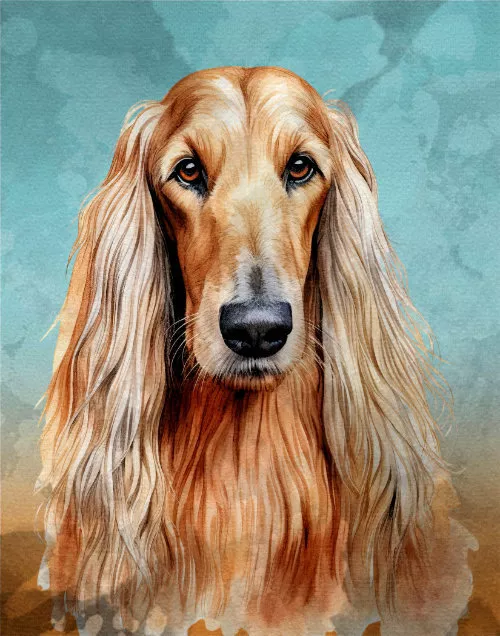 Afghan Hound Print Dog Poster Wall Art Pet Decor 8x10, Watercolor Style