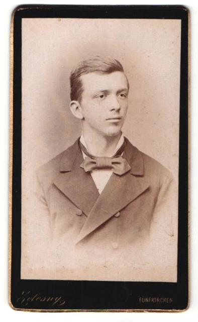 Fotografie Zelesny, Fünfkirchen, Portrait junger Herr im Anzug mit Fliege