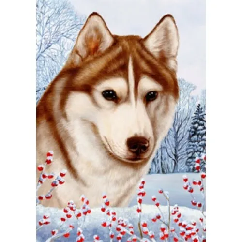 Winter House Flag - Brown-Eyed Red and White Siberian Husky 15230