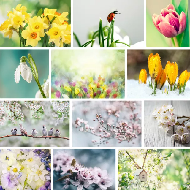 Frühlings Bilder als Wandbild zu Deko, Leinwandbilder von Blumen Wiesen Tulpen