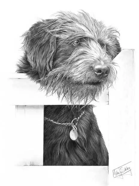 The Gatekeeper, Bearded Collie, Large Superb Quality Giclee Print by Mike Sibley