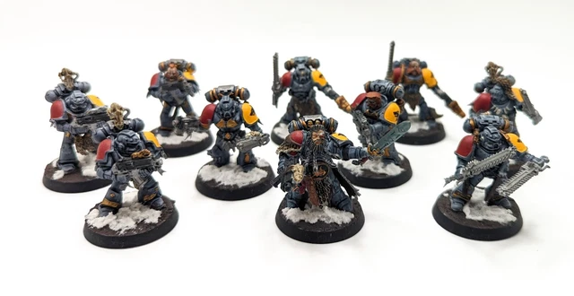 Warhammer 40k Space Wolves Army Lot (Battle Ready Paint Job)