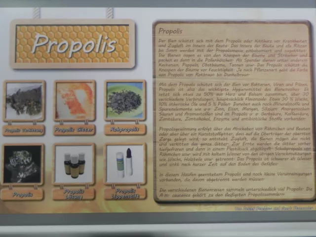 Werbeplakat "Propolis" 36x56cm,Imker,Imkerei,Bienen,bee,Werbeschild,Lehrtafel