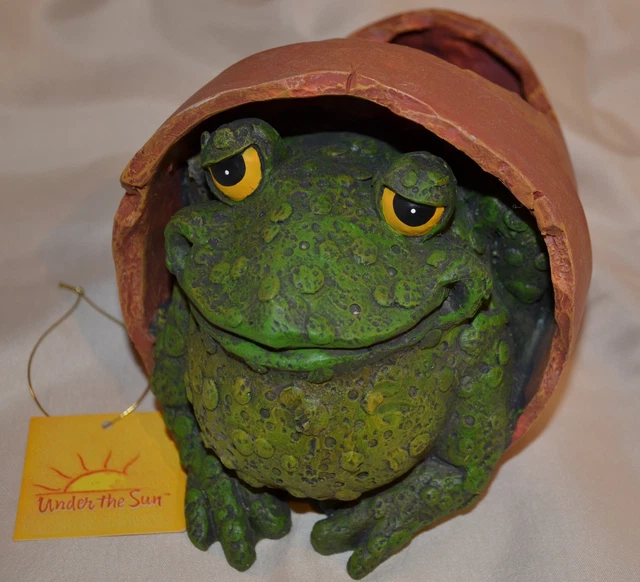 Frog Hiding in Flower Pot by Under the Sun Van Group