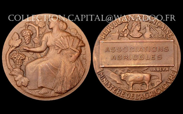 MÉDAILLE 1 ARGENT " Ministère de l'Agriculture : Science & Labeur" Alphée DUBOIS EUR 55,00