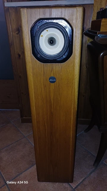 PAUDIO SW-12T Diffusore Passivo 12" A Tromba Per Esterni Potente - Foto 3