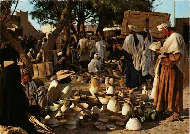 CPM AK MAROC - Le MAROC Pittoresque (328828)