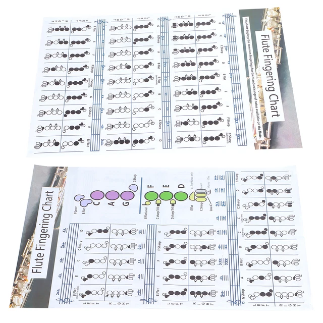 Flute Fingering Chord Chart Beginner Student Practice Teaching Aids Instr UK HEL