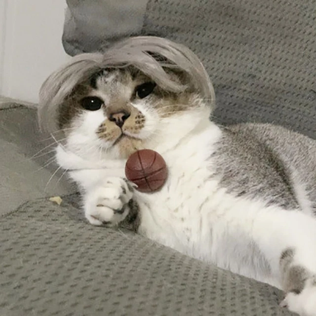 Durable Ajustable Para Mascotas Peluca Gato Accesorios para el Cabello Peluca para Cachorro Sombrero