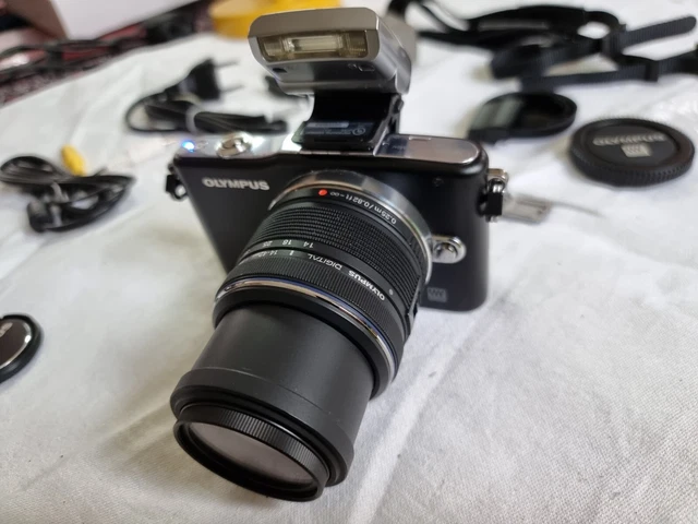 OLYMPUS PEN E-PM1 with Micro Four Thirds 14-42mm lens