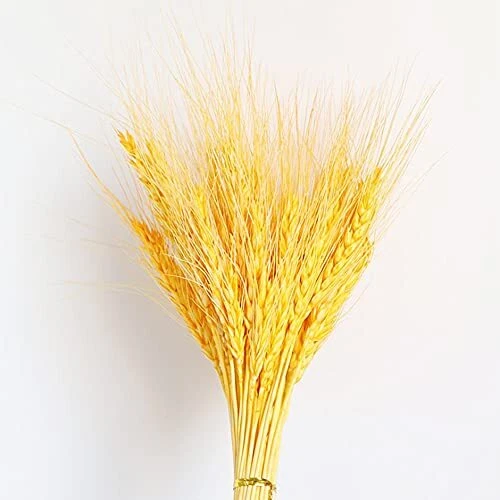 Hierba pampa flores secas Anyingkai decoración plantas secas 54 cm amarillo
