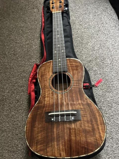 Excelsior DDS-24 Ukulele - With Gig Bag And Electro Cut