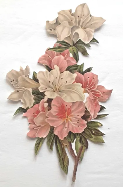3D Peach White Flower Spray  Card Scrapbook Card Embellishment 3575