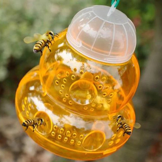 Piège à guêpes suspendu durable pour attraper les insectes matériau de haute