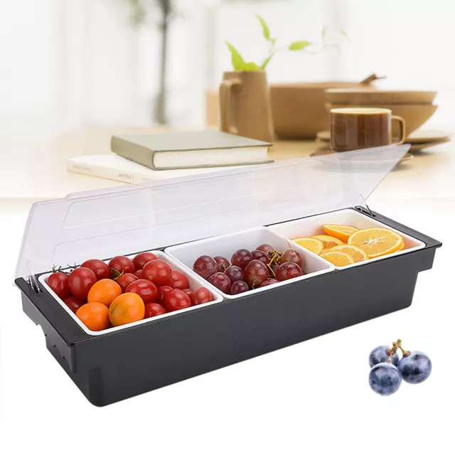 Multi-Functional 3-Pint Abs Condiment Holder With Ice Compartment Fruit Tray