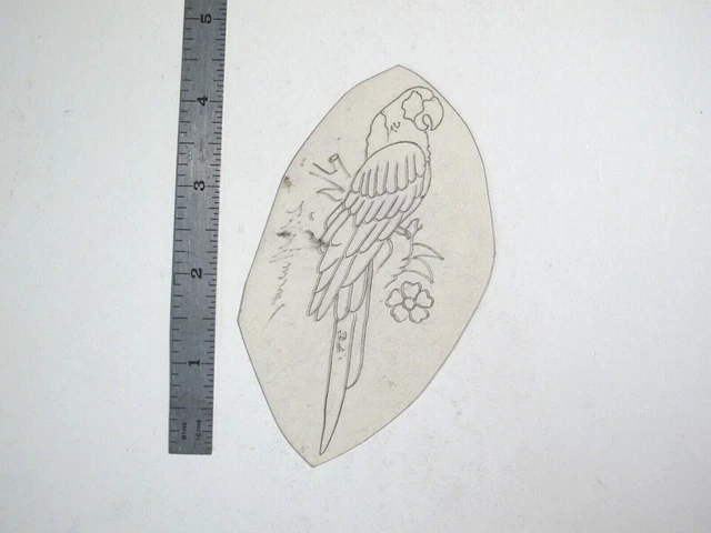 De Colección Años 60 Años 70 Tatuaje Flash Plantilla de Acetato Loro en Rama Perfil Firmado BR3
