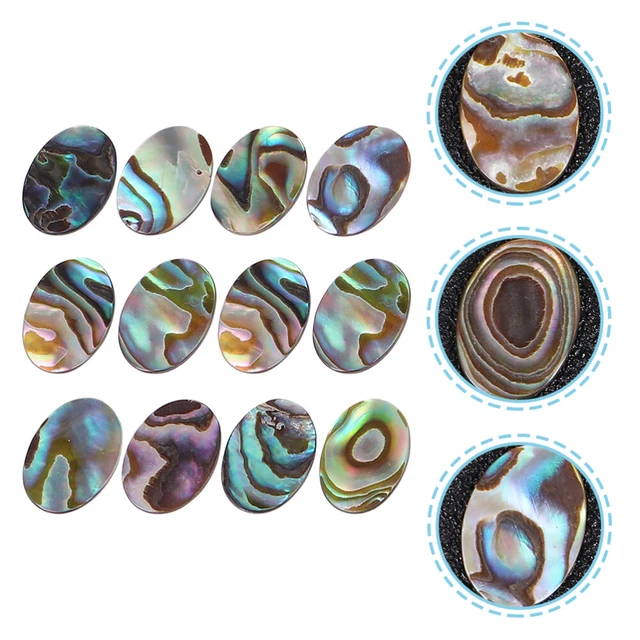 12 un. Hágalo usted mismo Colgantes para hacer joyas Abulón Cáscara Pendientes Collar Dijes