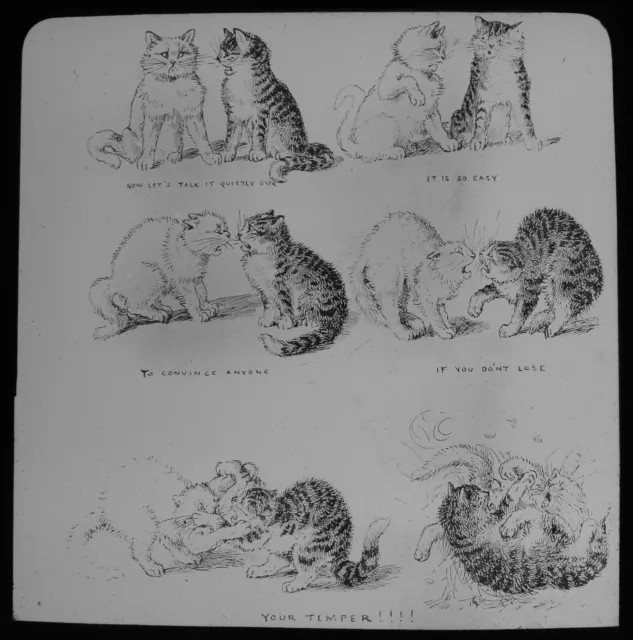 COMICAL CATS - KEEP YOUR TEMPER C1890 ANTIQUE VICTORIAN Magic Lantern Slide