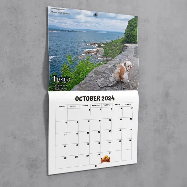 WALL CALENDAR 2025 Monthly 2025 Wall Calendar Dog Pooping Hangable