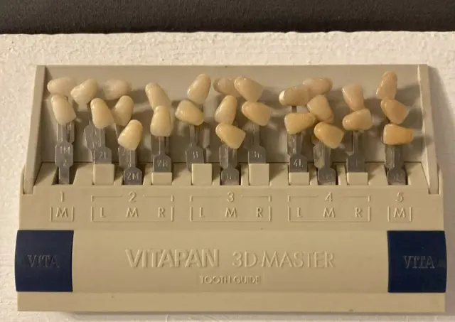 Vita 3-D Master Toothguide with Bleached Shade Guide Vitapan