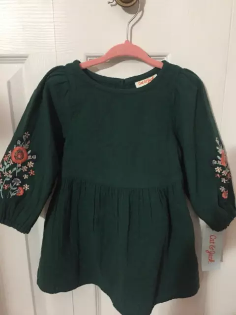 18 M Cat & Jack Green Floral Embroidered Floral Dress Baby Girl NWT