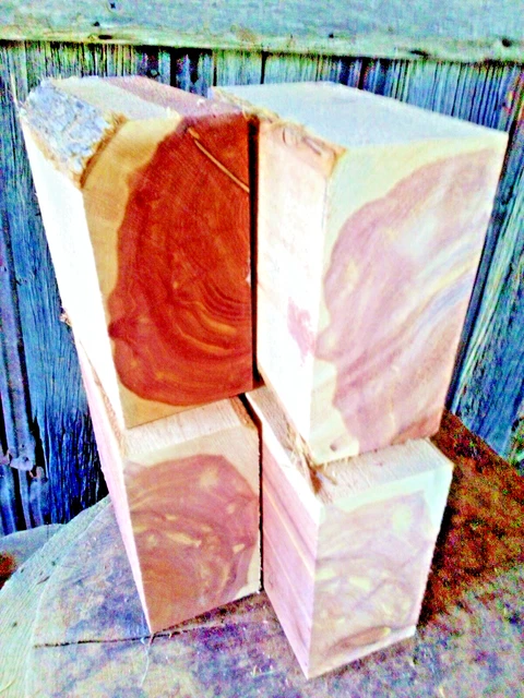 CEDRO ROJO PREMIUM AIRE SECO REAL 4 CUENCOS EN BLANCO TORNO BLOQUES DE GIRO 3 x 6 x 6