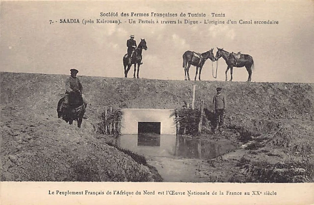 CPA AK le marchand de beignets TUNISIA (1404760