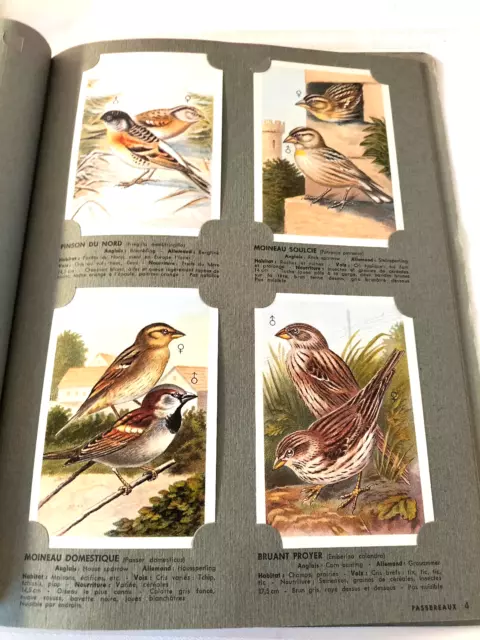 Lot livres ornithologie : LES PASSEREAUX DE BELGIQUE ET ALBUM