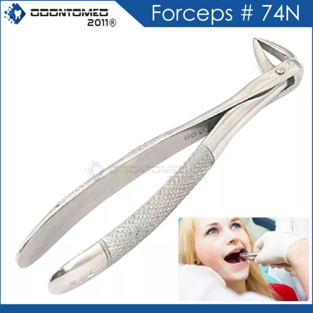 Pedo Extracting Forceps # 74N Dental Surgical Instruments