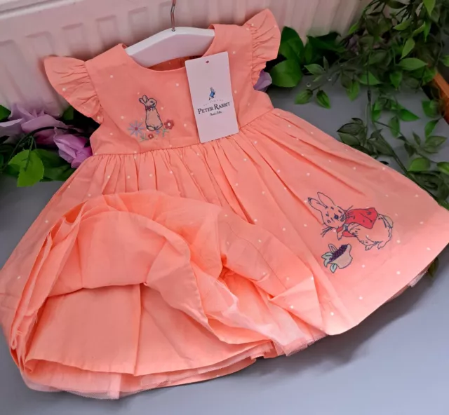 Baby Girl 3-6 Months BNWT M&s Peter Rabbit Gorgeous Dress