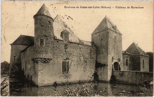 CPA Env. de COSNE-sur-LOIRE Nievre (100481)